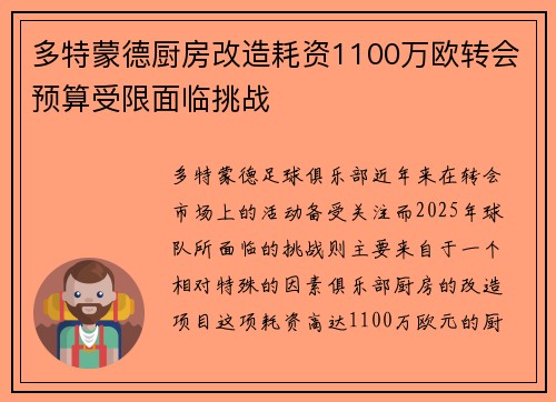 多特蒙德厨房改造耗资1100万欧转会预算受限面临挑战